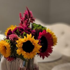 Meet your Posher, Helen